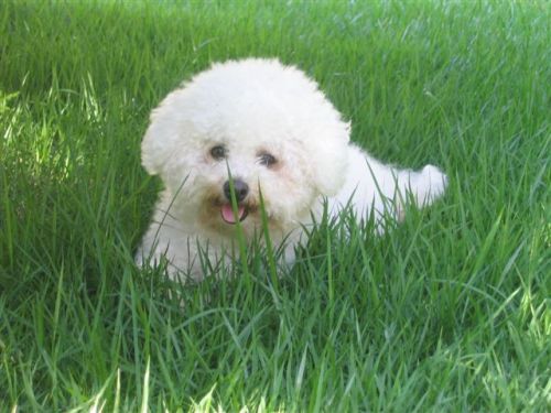 [pituca5.1.08+014.jpg]