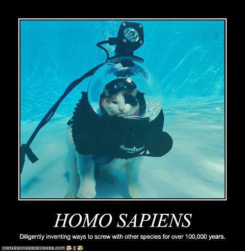 [homo+sapiens.jpg]