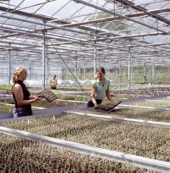 [nursery-06-07-06.jpg]