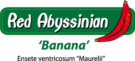 [Red+Abyssinian+logo+.jpg]