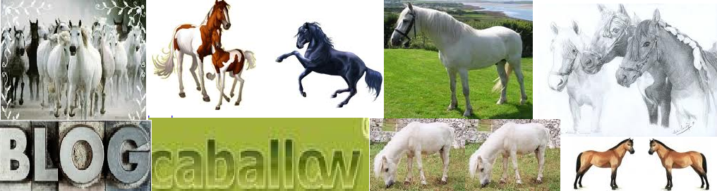 Caballow