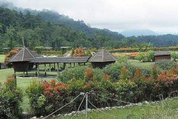Borneo Highlands Resort garden grounds