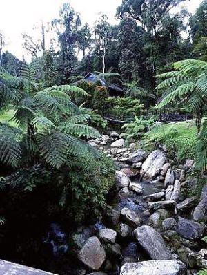 Natural beauty: A rocky mountain stream at the resort (above) and (below) the resort offers plots of land for bungalows amid the mountains and jungle of the Penrissen Range.