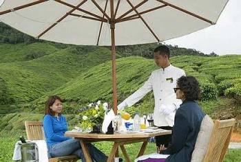 The high life: This is Cameron Highland Resort’s treat for guests — tea amongst tea bushes in the Boh Sungai Palas Tea Centre
