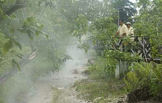 Steamy attraction: The Sungai Klah hot spring park in Sungkai is fast becoming a popular haunt for families and tour groups from all over the country.