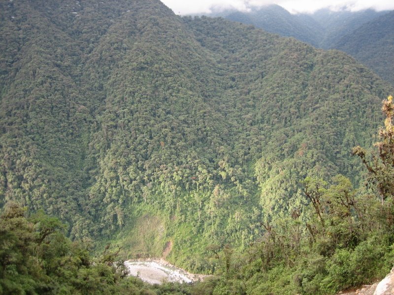 [IMG_9279.jpg]