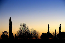 Dawn at St. Mary Magdalene Cemetery