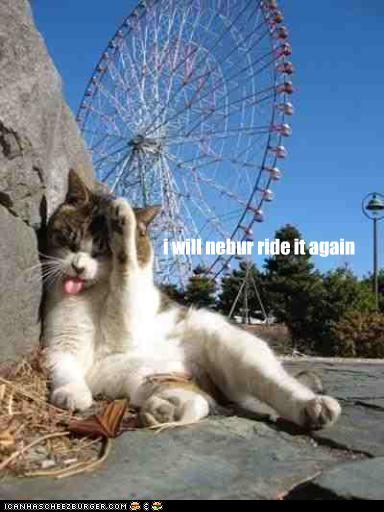 funny roller coaster pictures. Manic Monday—Sick Kitty
