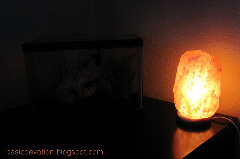Basic Devotion Himalayan Salt Rock Lamps