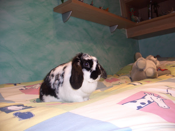 Gilda