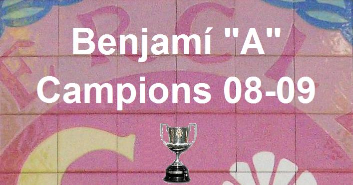 Campions 2008-09