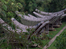 the houses of Toraja land