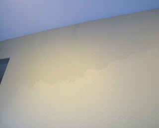 The Conscious Kitchen Not So Amazing Gray