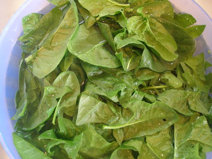 Thy Hand Hath Provided: Preserving: Freezing Spinach
