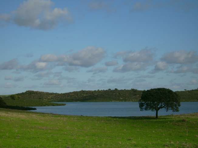 [IMG_3605.jpg]