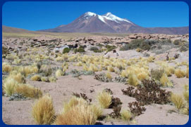 [Atacama.jpg]