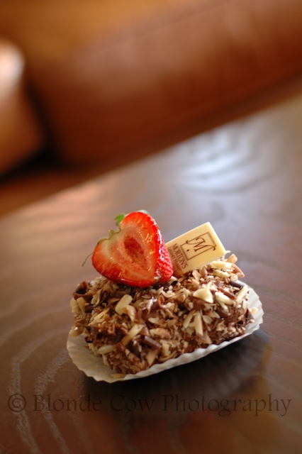[Morton's+423.jpg]