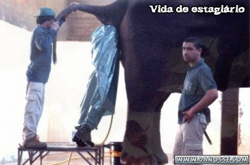 [081009_vidadeestagiario.jpg]