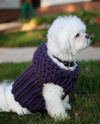Knitted+dog+bone+pattern