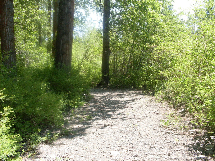 Pathway To Nature