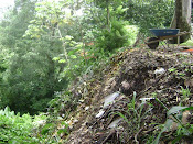 ¿Que pasa con la basura en la U?