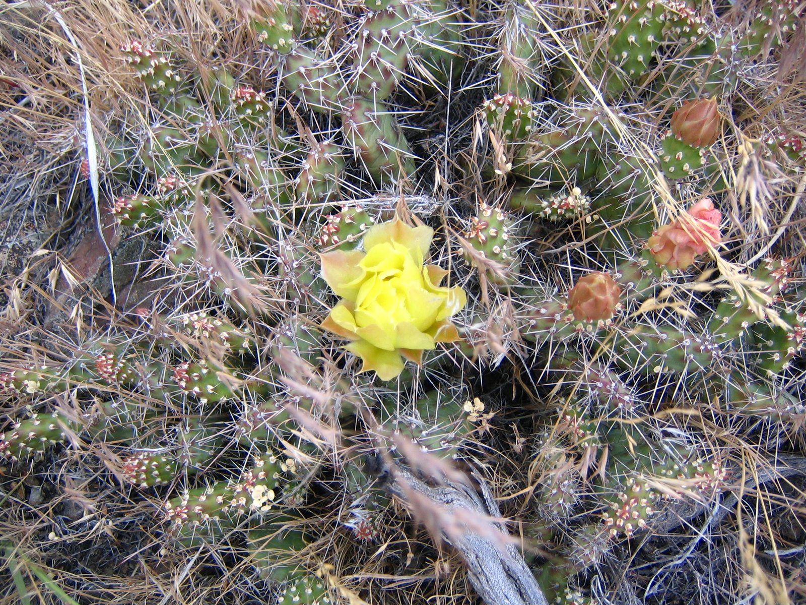 [IMG_0333.JPG]