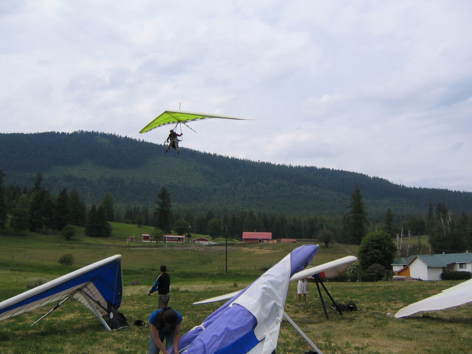 [IMG_0118.JPG]