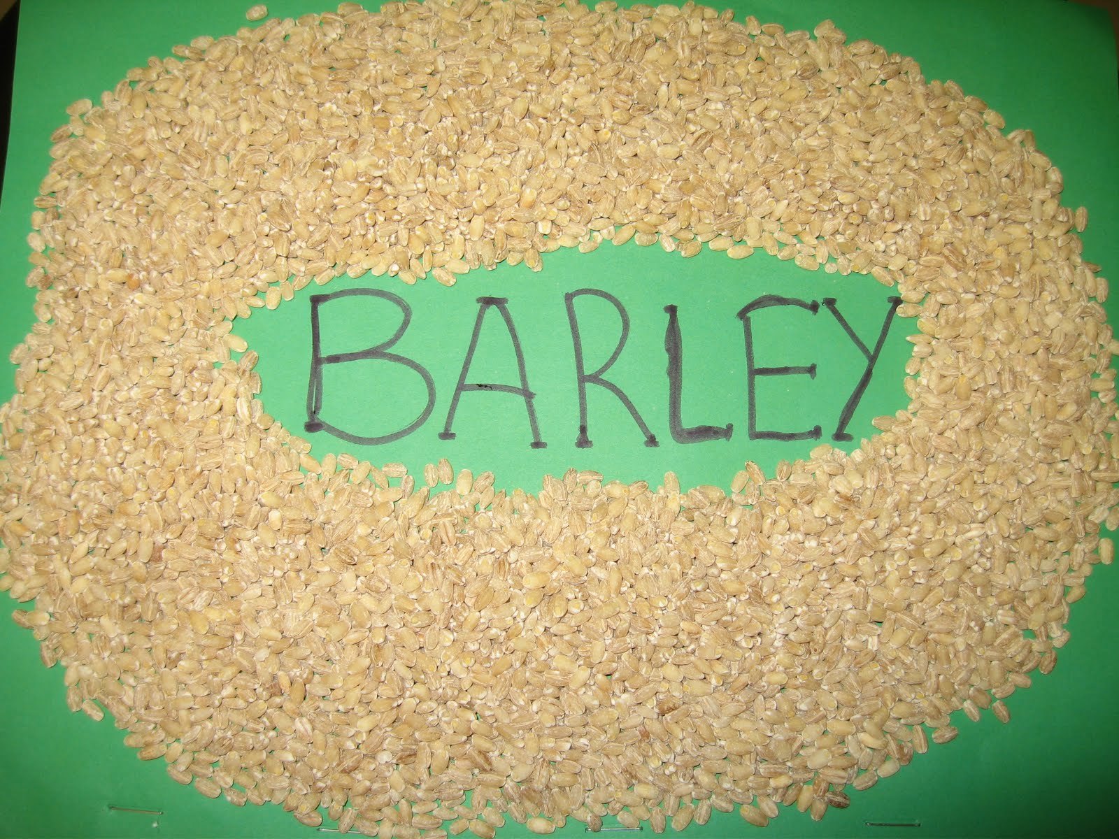 barley.JPG