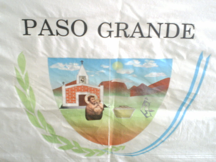 Municipalidad de Paso Grande - San Luis