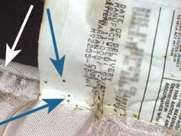 [bed-bug-on-mattress-tag.jpg]