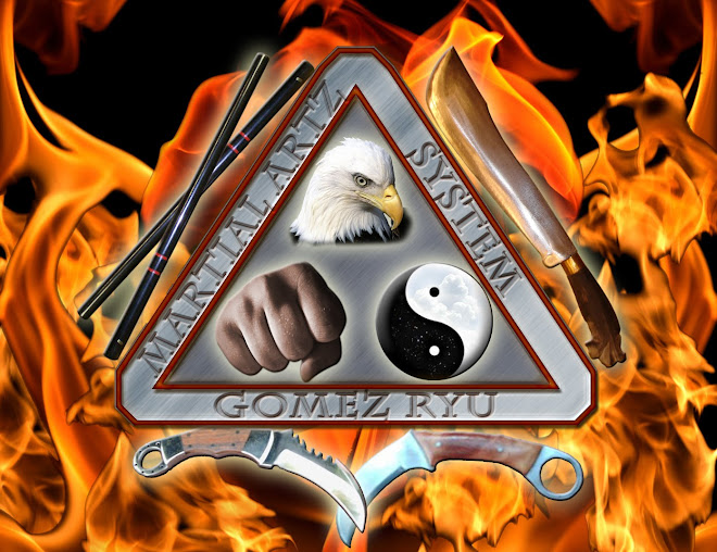 Gomes Ryu Martial Arts Sistem