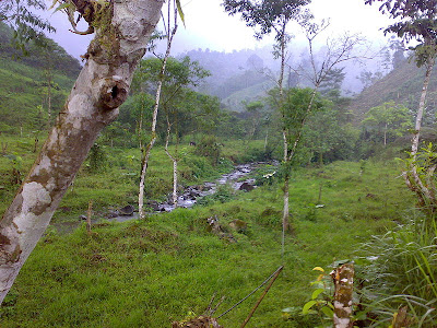 biodiversidad