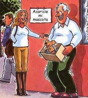 chistosas chistosas