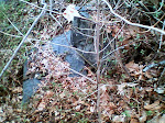 Remains of the Late 1800-1920 Quarry Bridge buldozed in part.