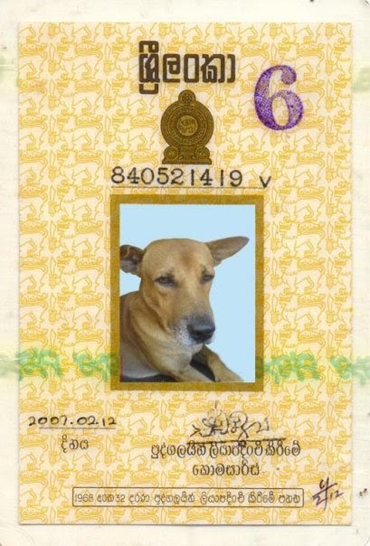 NATHI UNA HOYA DENNA | Sri lanka Funny images Sinhala jokes,Sri lankan