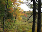 View From Saddle Hill, November, 2009