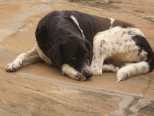 Fofinha da mamãe