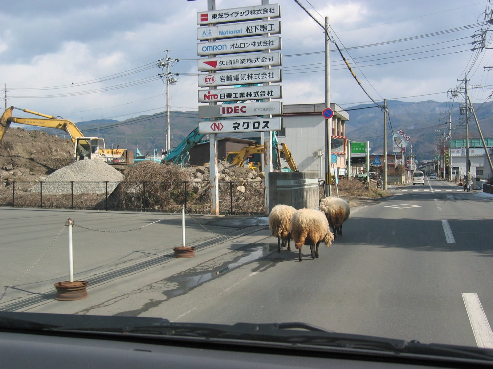[IMG_0074.JPG]