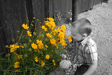 Take time to stop & smell the flowers...