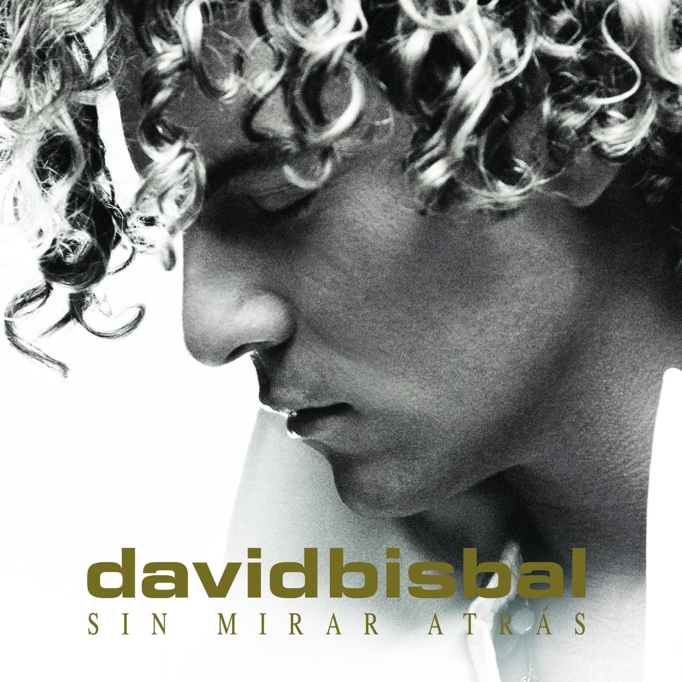 VIDEOCLIPS BISBAL videoclips bisbal: