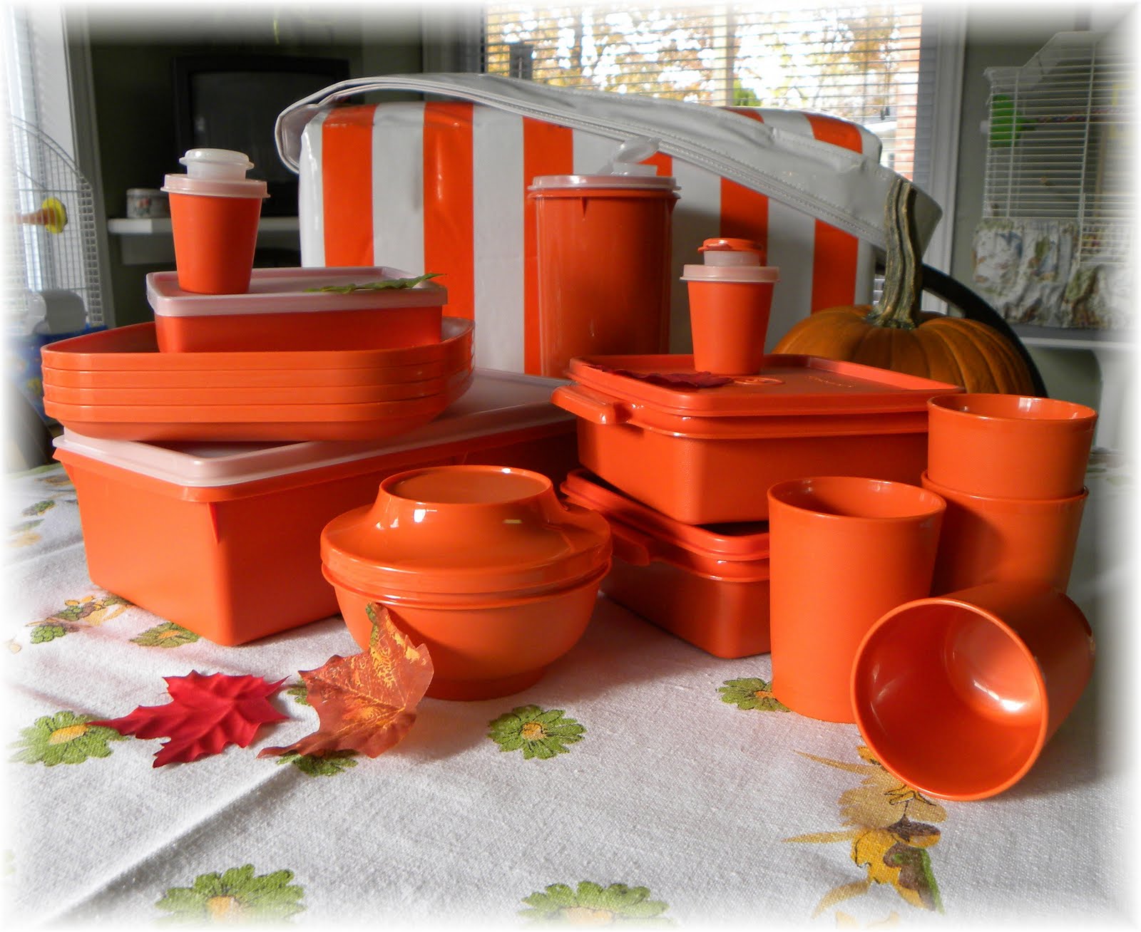 i tupperware bicycling magazine forums i tupperware bicycling magazine forums