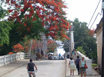 Fotos de Sagua la Grande