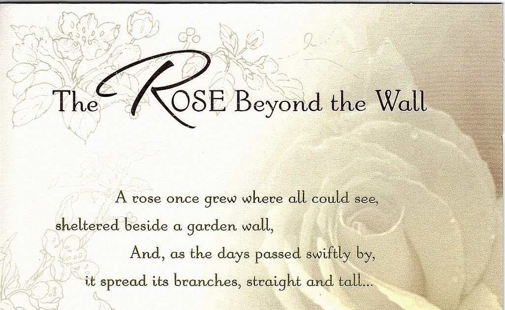 Thoughts and Crosses † The Rose Beyond the Wall