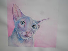 Petportrait Cat Blue eyes