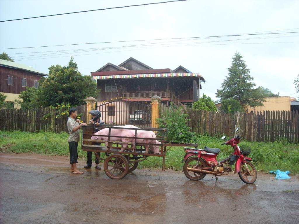 [DSCN1075.JPG]