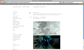 amandabutterworth.com