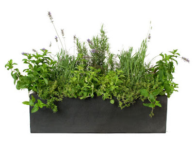 herb box