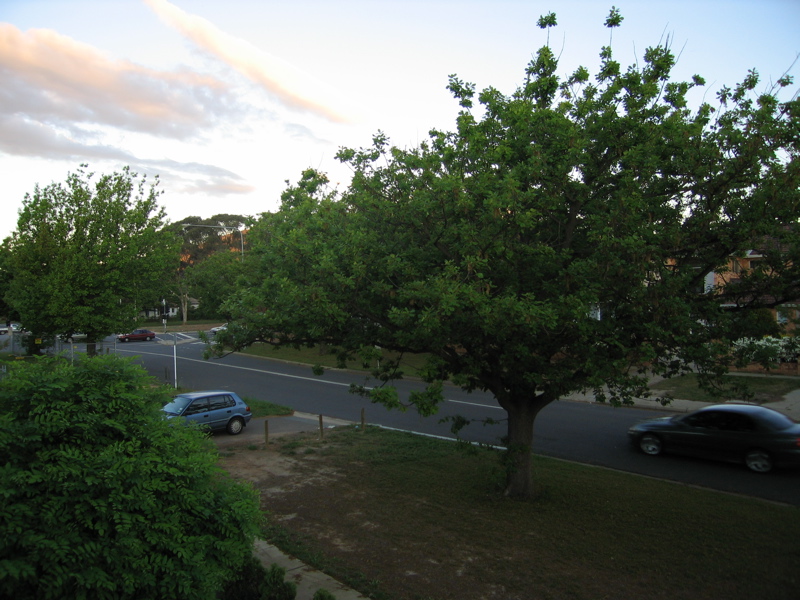 [IMG_0907.JPG]