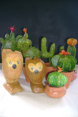 Cactus y lechuzas