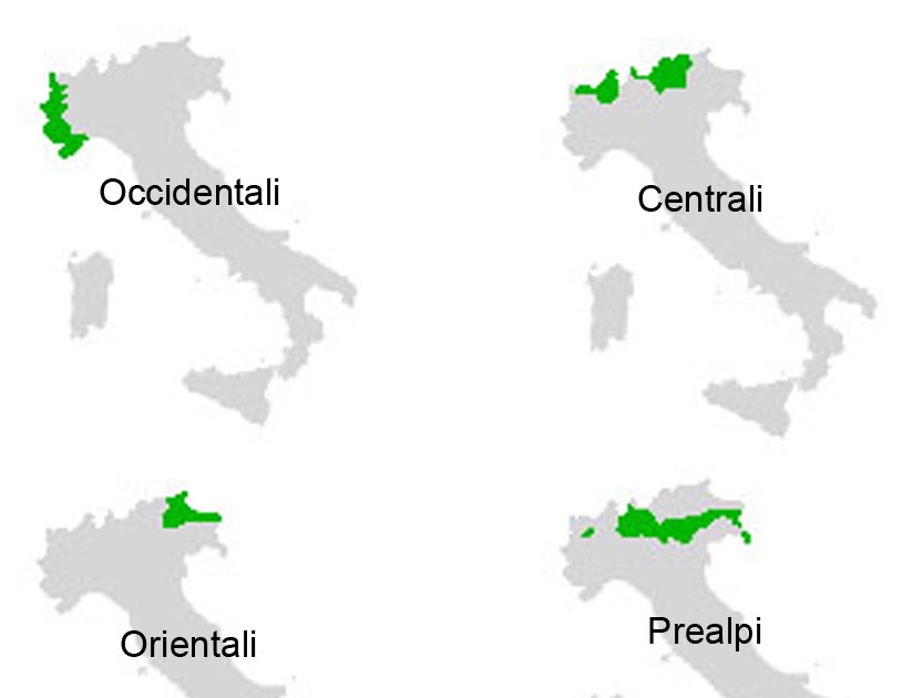 cipputiblog La partizione delle Alpi